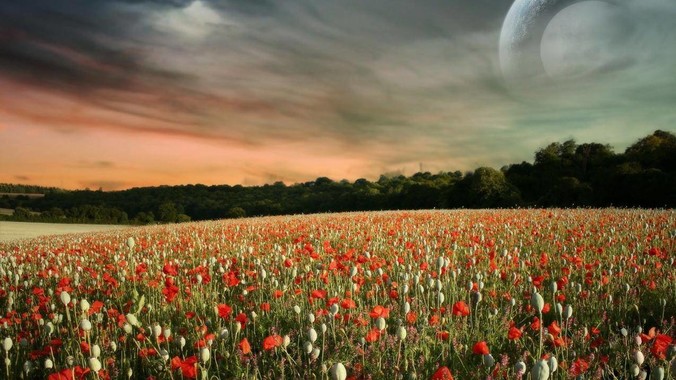 服装开店如何给你的服装店起一个好听的名字？